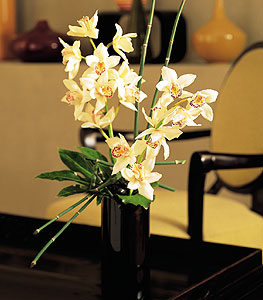  Konya online ieki , iek siparii  cam yada mika vazo ierisinde dal orkide