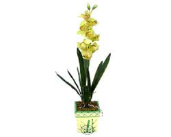 zel Yapay Orkide Sari  Konya online iek gnderme sipari 